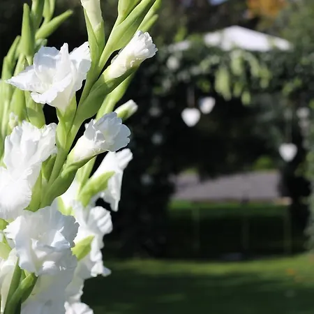 Kastiel Agatka Hotel