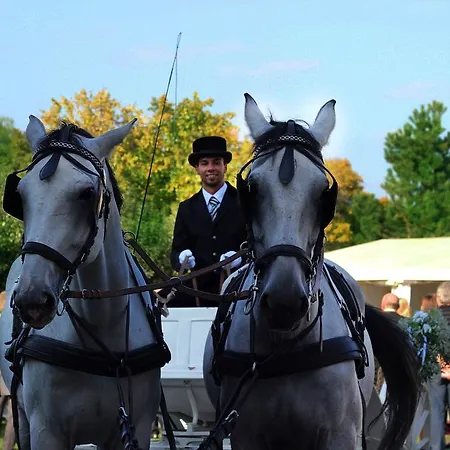 Hotel Kastiel Agatka 4*