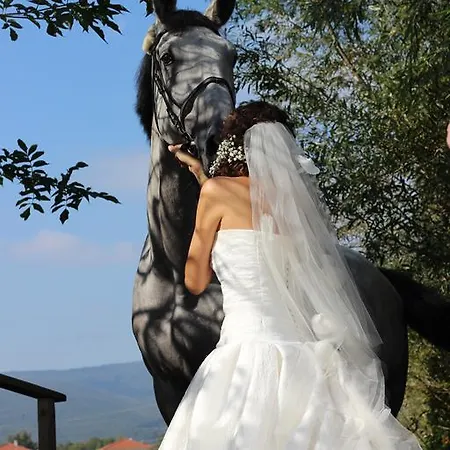 Kastiel Agatka 4* Chorvatsky Grob